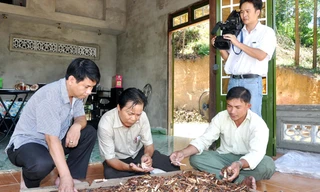Người bị bệnh hiểm nghèo cần anh Nguyễn Đình Hoa tư vấn cách dùng nấm lim xanh chữa bệnh có thể liên lạc đến Công ty TNHH MTV Nấm Lim Xanh Nguyễn Đình Hoa Tiên Phước, điện thoại: 05113 822488. Hoặc liên lạc trực tiếp anh Hoa: 01677 410700 - 01206 030807. 