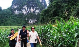 Trần thi sĩ đi làm tiến sĩ