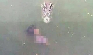 Bức ảnh ghi lại cảnh con cá sấu đang lao vào người phụ nữ. Nguồn: Bangkok Post