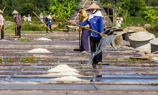 Hạt muối nhọc nhằn của diêm dân Nam Định