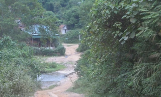 Đường vào trung tâm UBND xã Tam Hợp cách địa điểm khai thác gỗ hơn 2 km