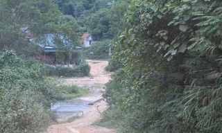 Đường vào trung tâm UBND xã Tam Hợp cách địa điểm khai thác gỗ hơn 2 km