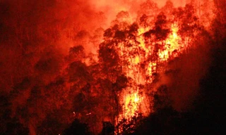 Cháy dữ dội trên núi Bà Hỏa, chiến sĩ thâu đêm dập lửa