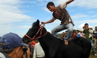Chàng quán quân Cil Yiong Long làm xiếc trên lưng ngựa