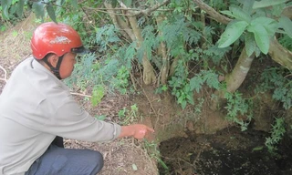 Giếng nước nơi chị Thuật ôm con tự tử. Ảnh: nld.vn