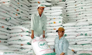 Tồn kho 477.000 tấn đường