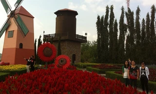 Ngẫm ngợi ở trang trại nho