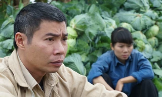 Thêm một phim chính luận về nông thôn. Ảnh: VFC