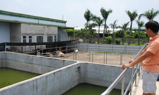 Nhà máy giết mổ gia súc, gia cầm Foodex và trạm xử lý nước thải hoạt động cầm chừng gây lãng phí lớn. ảnh: Minh Tuấn 