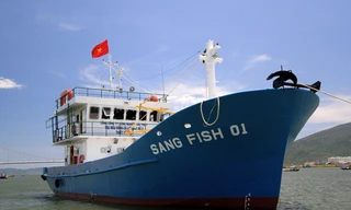 Công ty của ông Trần Văn Trí đề xuất được hỗ trợ vốn đóng mới, nhập tàu thép để giúp ngư dân đánh bắt, khai thác thủy hải sản và phục vụ nguồn nguyên liệu cho công ty. Ảnh minh họa: Nguyễn Đông