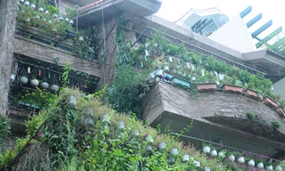 Ngôi nhà xanh mướt, phủ kín chậu họa ở Hồ Tây