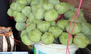 Trà ướp thẳng vào bông sen, bán 30 ngàn một ấm. Ảnh: Đỗ Đức