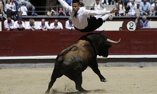 Tây Ban Nha ra phán quyết cấm đấu bò 