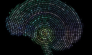 Mỹ phát triển chip cấy trong não người