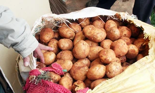 Khoai tây Đà Lạt chính hiệu