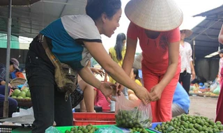 Thu tiền triệu từ nghề chà vỏ sấu đầu mùa