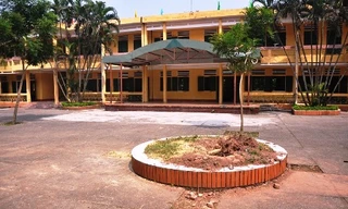 Cây phượng trong sân trường bật gốc, 6 học sinh nhập viện