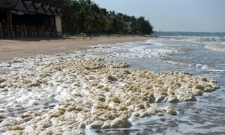 'Thủy triều đỏ' tấn công các resort ven biển Mũi Né