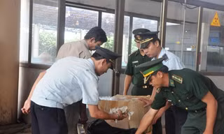 Số tổ yến vận chuyển bị cơ quan chức năng thu giữ