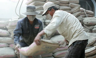 Dù bán giá rẻ, xi măng vẫn được định hướng xuất khẩu. (Ảnh bốc dỡ xi măng tại nhà máy Hoàng Thạch). Ảnh: Như Ý