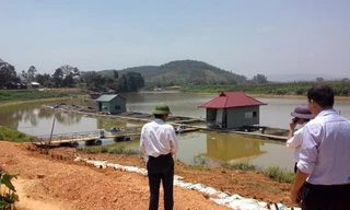 Những bè cá ở xã Quang Húc trên sông Bứa mang lại kinh tế cao cho người dân