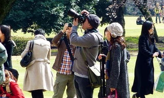 Du lịch ngắm hoa đang là lựa chọn yêu thích của nhiều người. Ảnh: Hà Anh