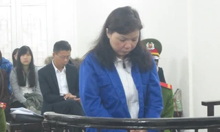 Đồng Thị Bích Hồng tại phiên tòa