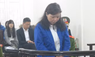 Đồng Thị Bích Hồng tại phiên tòa