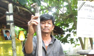 Đi chơi công viên tiện thể bắt rắn bán, bị cắn chết