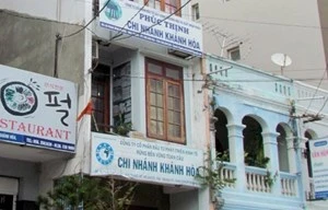 Trụ sở của Cty Rừng Toàn Cầu..