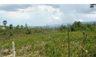 “Vẽ” dự án trồng rừng, lừa dân đóng tiền tỷ