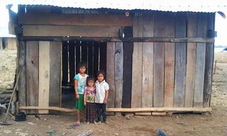 3 em nhỏ tự trông nhau