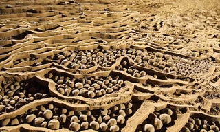 Sơn Đoòng: Địa đàng nơi trần thế 