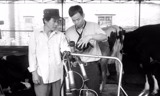 Đồng hành với 4.000 nông dân