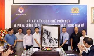 VFF và Cục Cảnh sát hình sự đẩy mạnh phòng chống tội phạm trong bóng đá