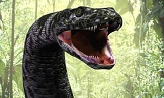 Quái vật rắn ăn thịt dài 15 mét