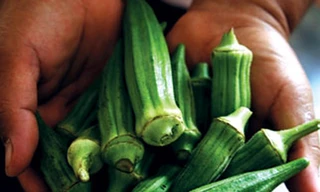 Uống nước đậu bắp trị tiểu đường?