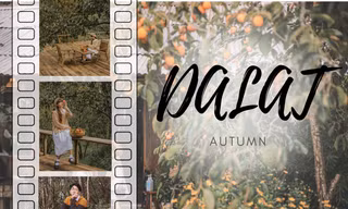 Ảnh: Group Thổ Địa Đà Lạt