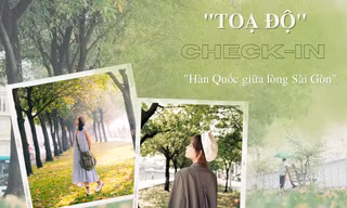 Tọa độ check-in: Con đường lá bay đẹp như bên Hàn, không thu phí lại có ảnh xịn xò mang về