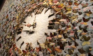 Chiêm ngưỡng bảo tàng gốm sứ ở Bình Dương