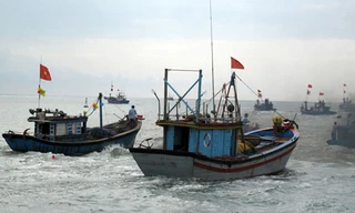 Cứu hộ gấp 14 ngư dân gặp nạn ở Hoàng Sa