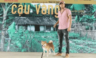 Đạo diễn phim Cậu Vàng xin lỗi công chúng sau vụ nhân viên chê khán giả nghèo hèn, ngu dốt