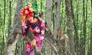 Thí sinh Next Top Model sợ hãi khi chụp ảnh với khỉ