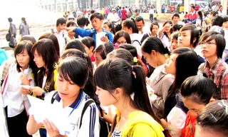 Thênh thang ngành đào tạo mới