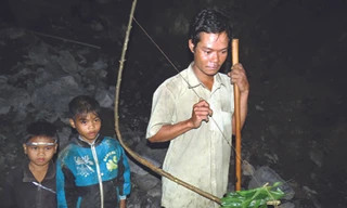 Theo người Rục săn chuột “tuyệt chủng”