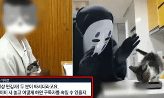 YouTuber xứ Hàn bị tố nhốt chó, bỏ đói mèo, hành hạ hamster đến chết khiến netizen phẫn nộ