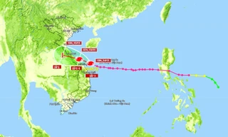 Cập nhật tình hình bão Vamco: Sông Hàn (Đà Nẵng) nước tràn bờ, đảo Lý Sơn mất điện