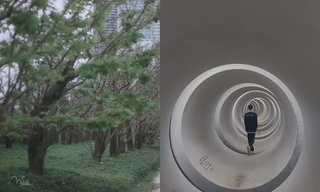 Đà Nẵng: Hai địa điểm “check-in” siêu hot của giới trẻ bất ngờ giương “biển cấm“