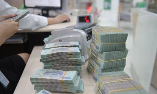 Doanh nghiệp gửi 'núi tiền' ở ngân hàng bất chấp lãi suất thấp