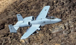 "Lợn chiến" A-10 Warthog của Không quân Mỹ